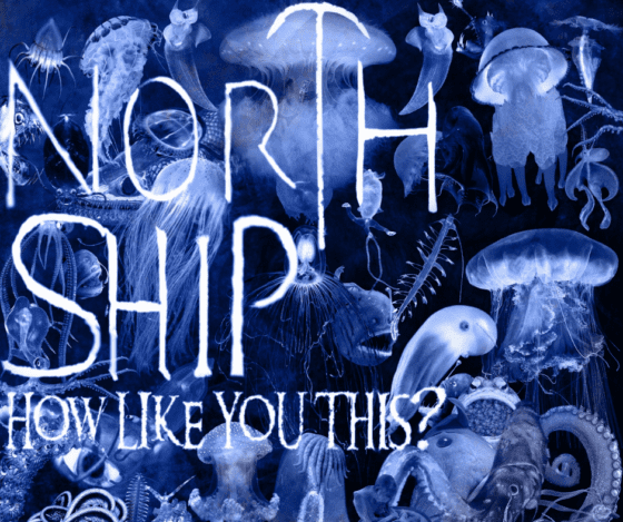 North Ship
